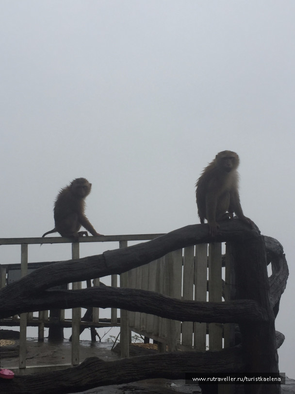 photo 1433413