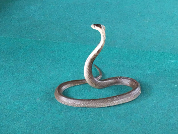 photo 1433742
