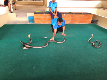 photo 1433744