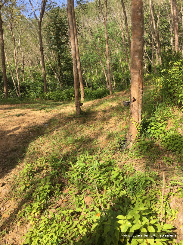 photo 1433777