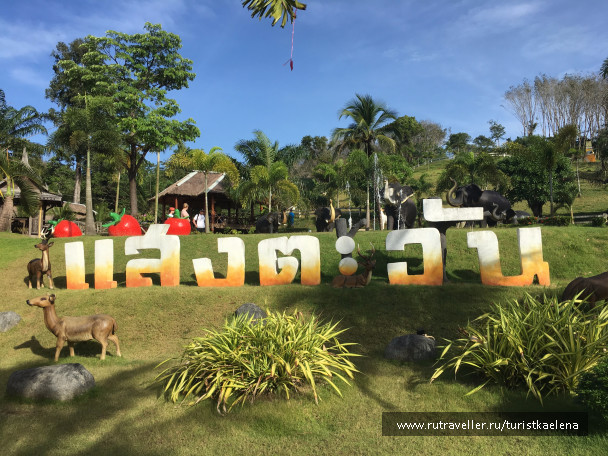 photo 1433779