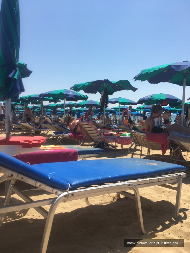 photo 1675516