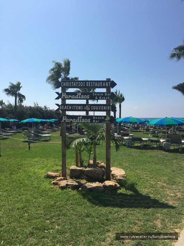 photo 1675518
