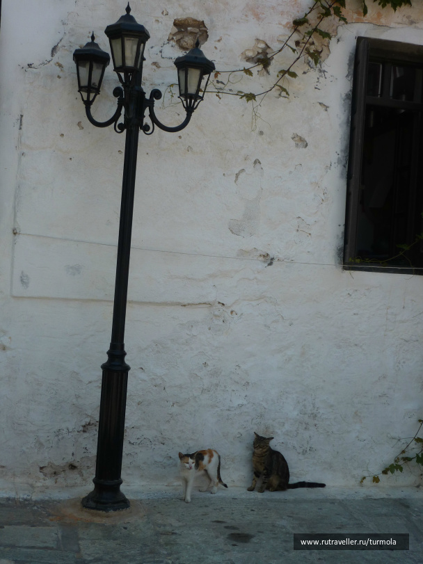 photo 94843
