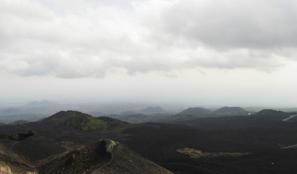 DSC_0446DSC_0446
