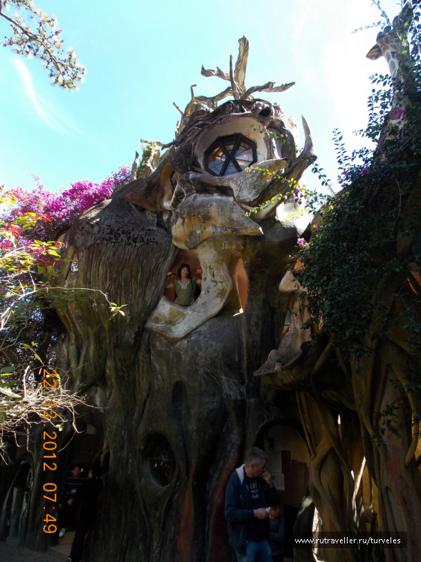 photo 223760