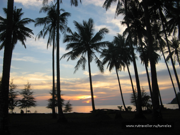 photo 244761
