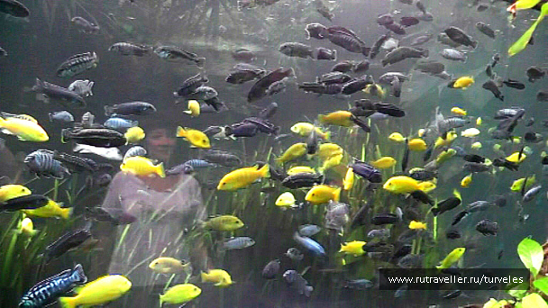 photo 637392