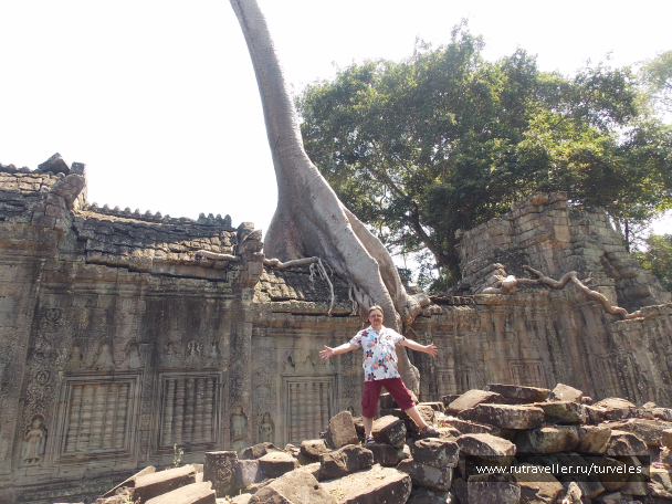 photo 1467666