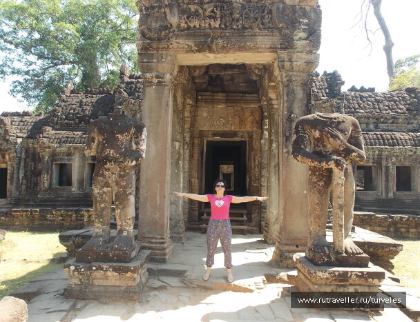 photo 1467668