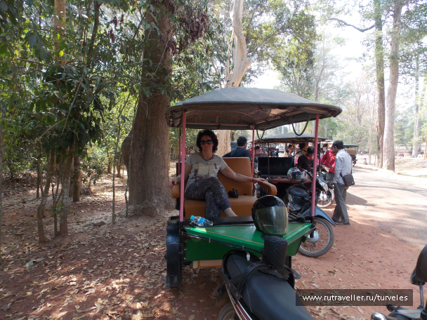 photo 1467684
