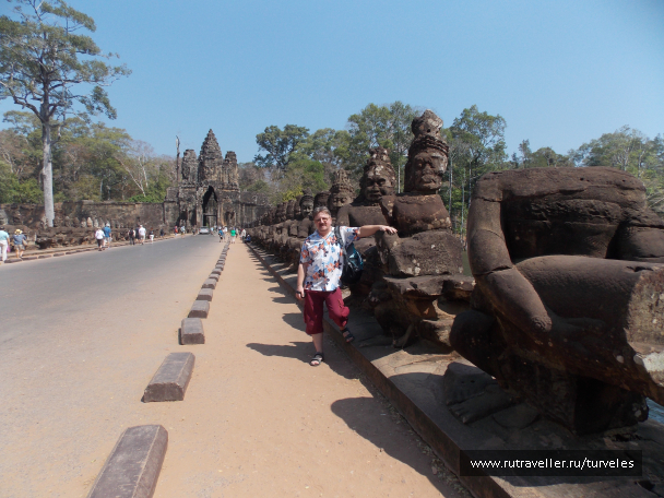 photo 1467694