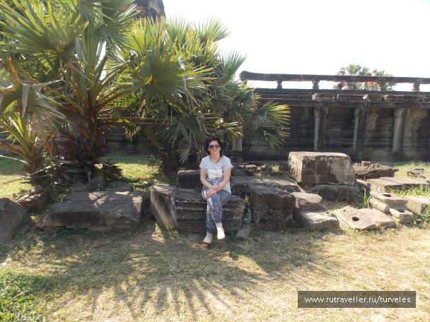 photo 1467699