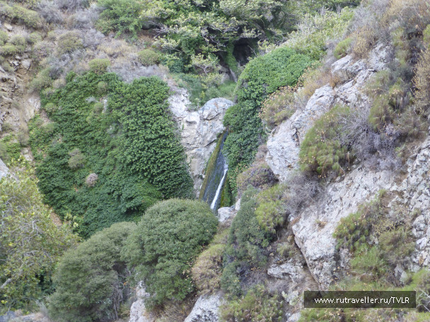 photo 223786