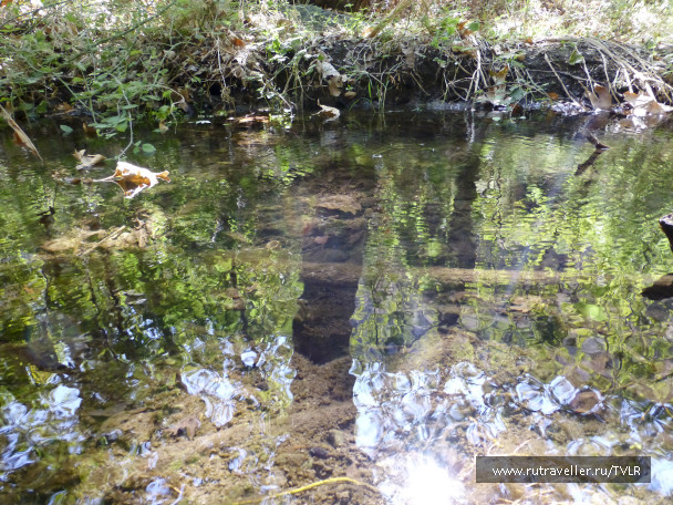 photo 223787