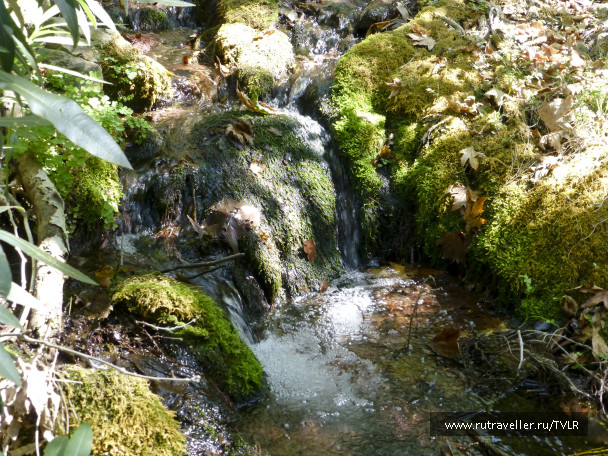 photo 267143