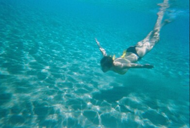 photo 489463