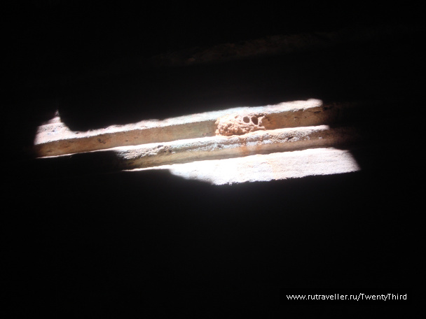 photo 90023
