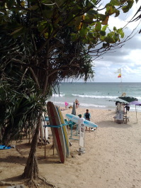 photo 1286936