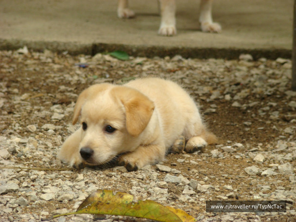 photo 48231