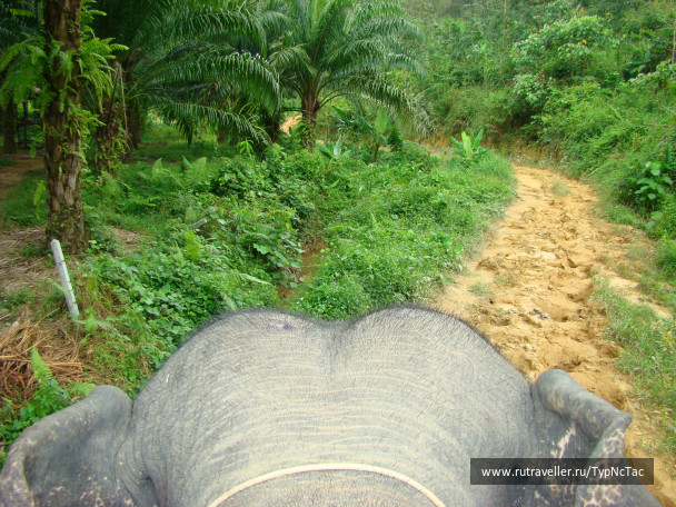 photo 48232