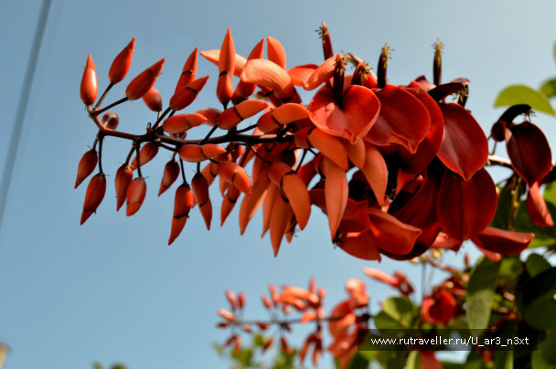 photo 646133