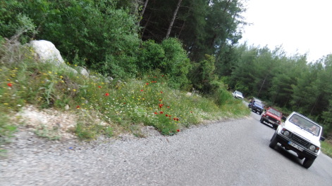 photo 487225
