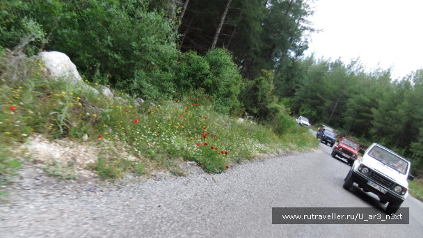 photo 487225