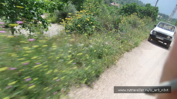 photo 487226