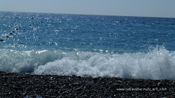 photo 487229