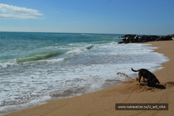 photo 646882