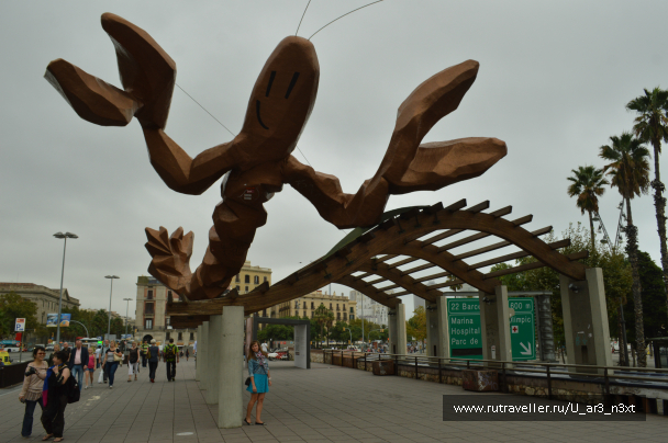 photo 646889