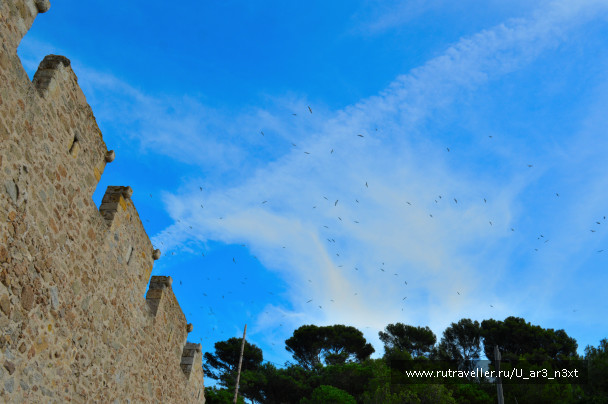photo 646898