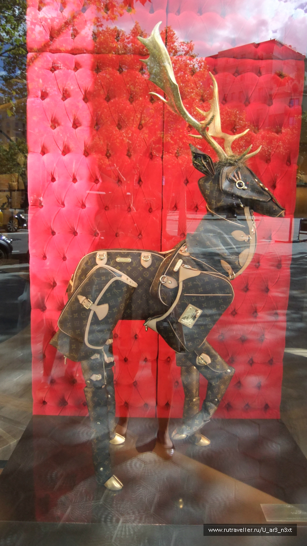 photo 646957