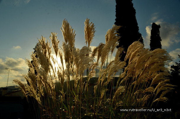 photo 647081