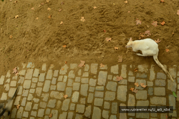 photo 647217