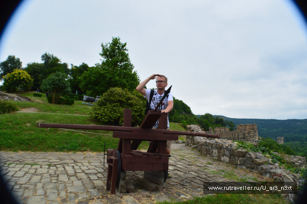 photo 1421735