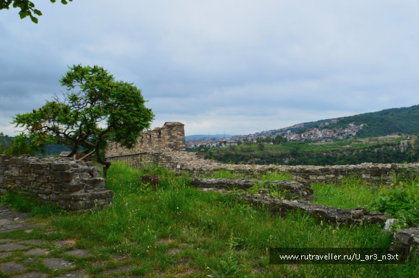 photo 1421737