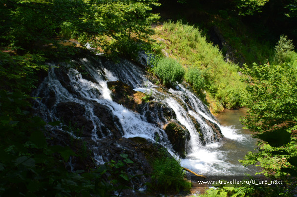 photo 1421761