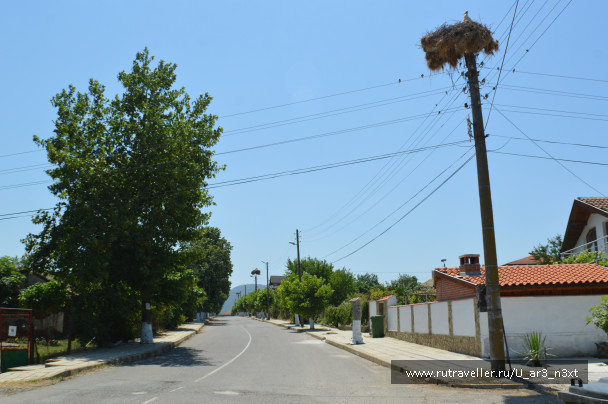 photo 1421772
