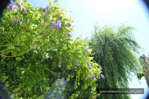 photo 1421777