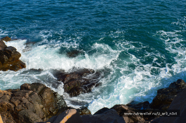 photo 1421784