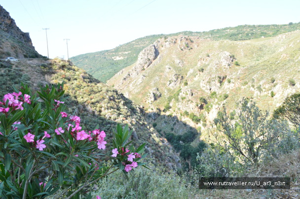 photo 1517022