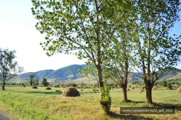 photo 1694515