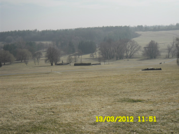 photo 177074