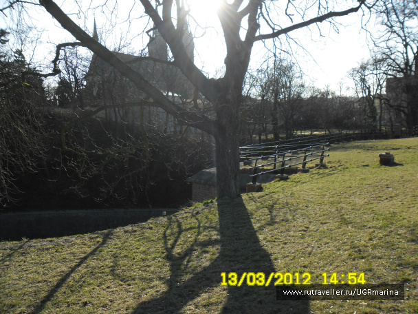 photo 193689