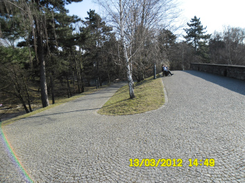 photo 193693