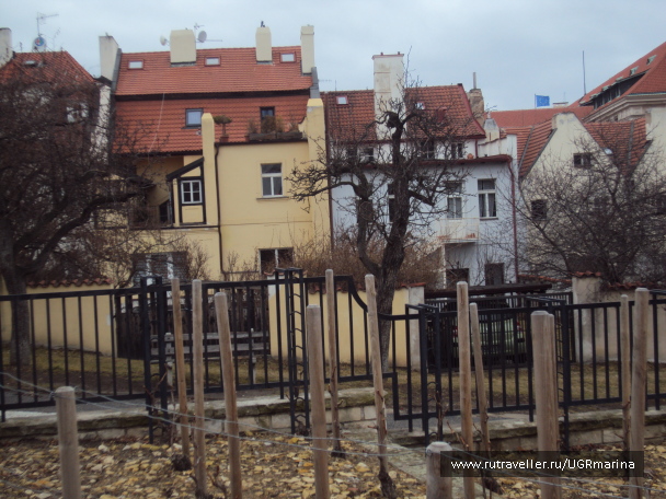 photo 595987