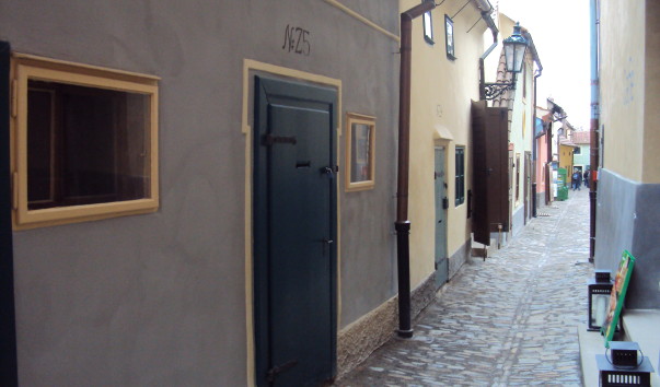 DSC01240