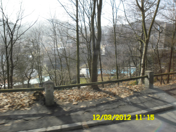 photo 340546